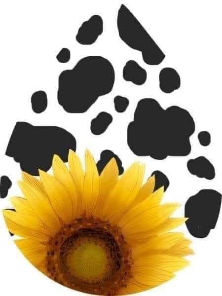 Cow print